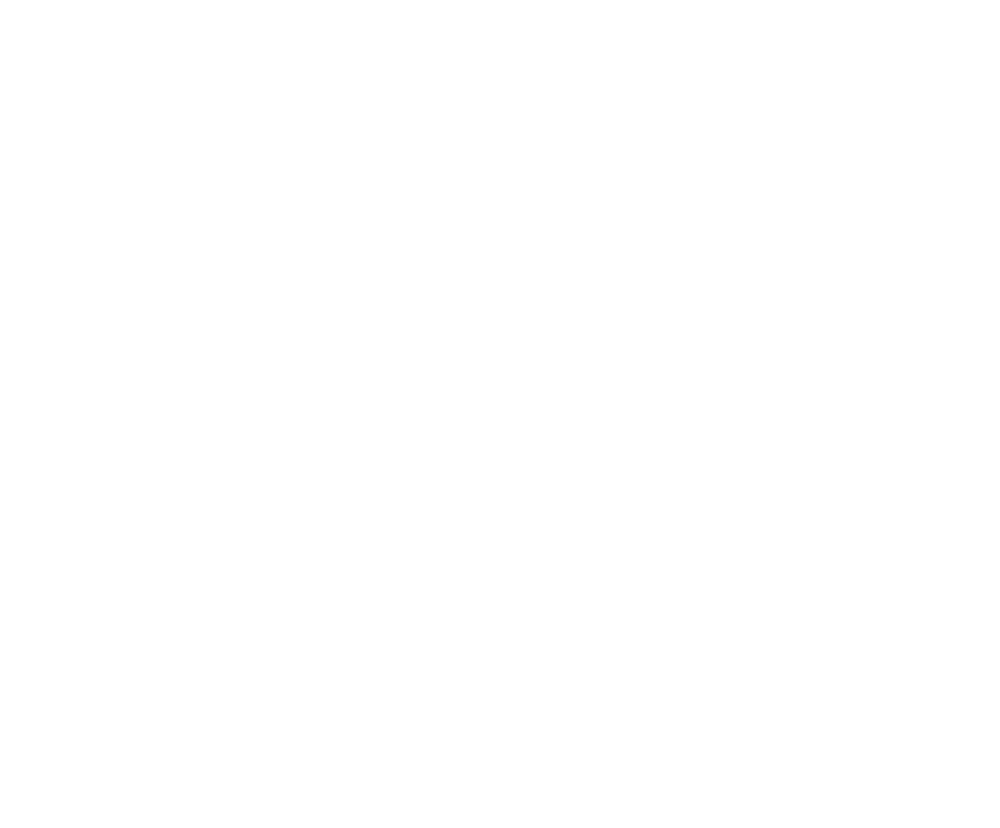 Logo Fincas Ruiz